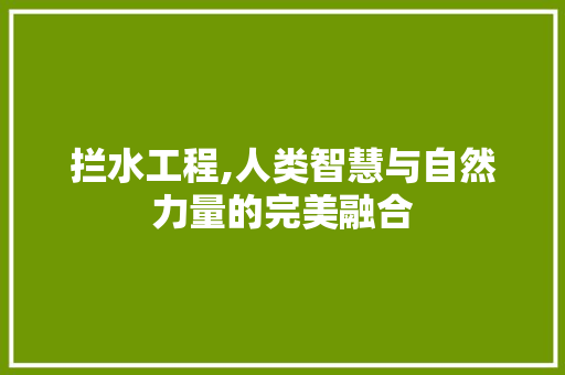 拦水工程,人类智慧与自然力量的完美融合 汉字拼音