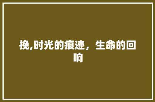 挽,时光的痕迹，生命的回响