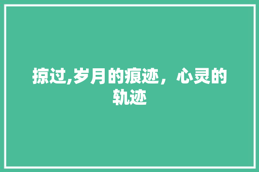 掠过,岁月的痕迹，心灵的轨迹