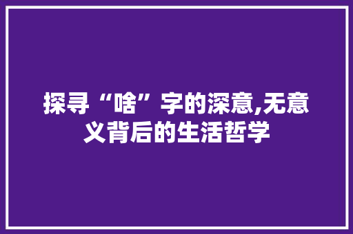 探寻“啥”字的深意,无意义背后的生活哲学