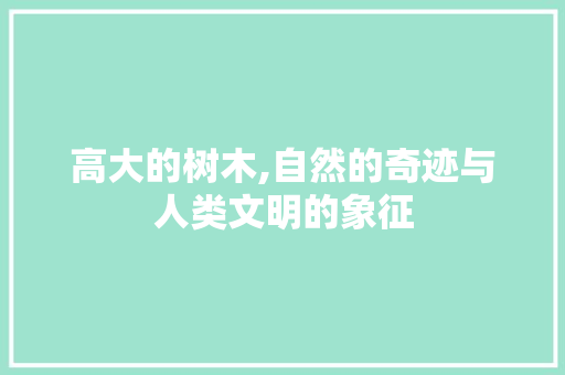 高大的树木,自然的奇迹与人类文明的象征