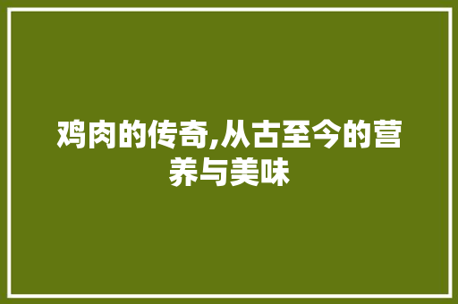 鸡肉的传奇,从古至今的营养与美味