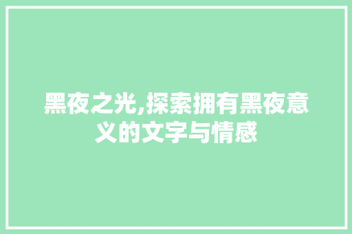 黑夜之光,探索拥有黑夜意义的文字与情感