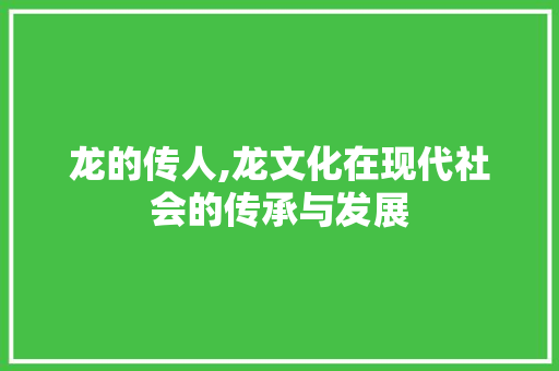 龙的传人,龙文化在现代社会的传承与发展