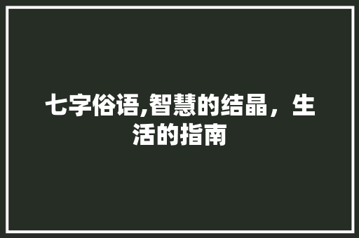 七字俗语,智慧的结晶，生活的指南