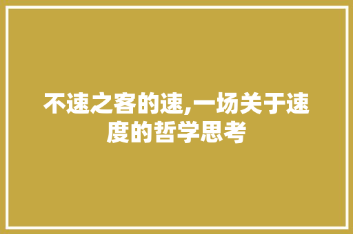 不速之客的速,一场关于速度的哲学思考