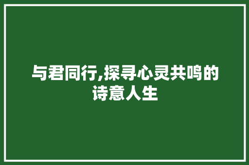 与君同行,探寻心灵共鸣的诗意人生