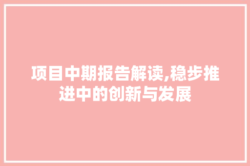 项目中期报告解读,稳步推进中的创新与发展