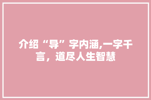 介绍“导”字内涵,一字千言，道尽人生智慧