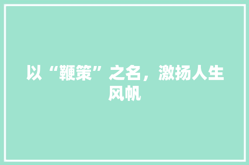 以“鞭策”之名，激扬人生风帆