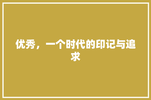 优秀，一个时代的印记与追求