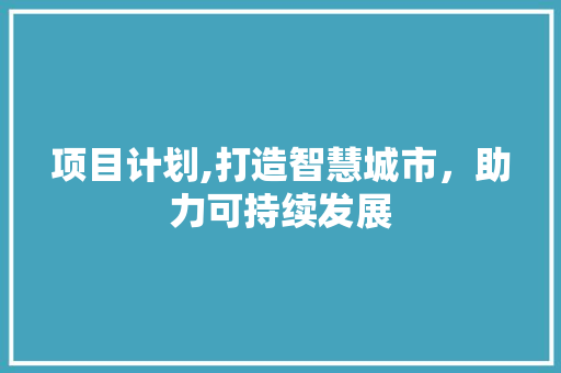 项目计划,打造智慧城市，助力可持续发展