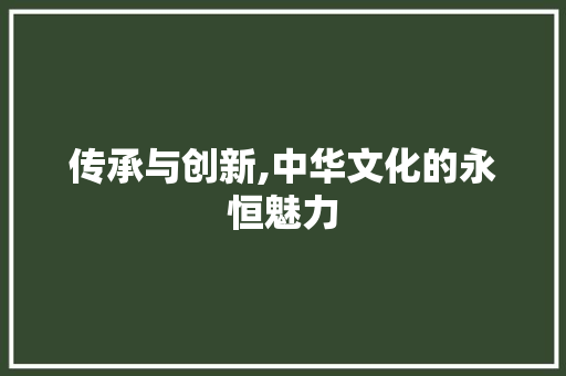 传承与创新,中华文化的永恒魅力
