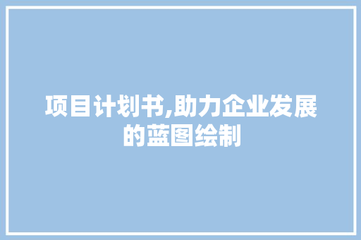 项目计划书,助力企业发展的蓝图绘制