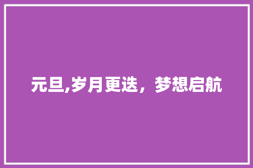 元旦,岁月更迭，梦想启航