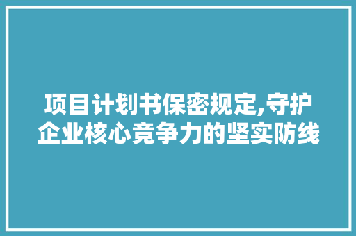 项目计划书保密规定,守护企业核心竞争力的坚实防线