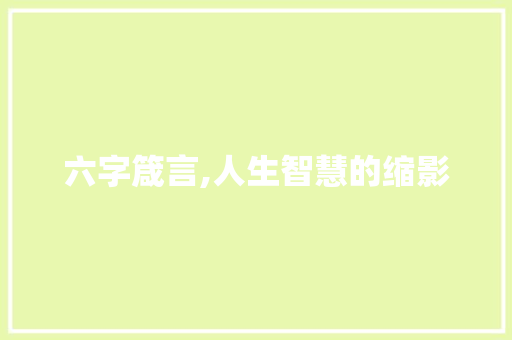 六字箴言,人生智慧的缩影 短语