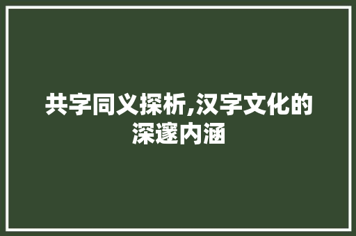 共字同义探析,汉字文化的深邃内涵