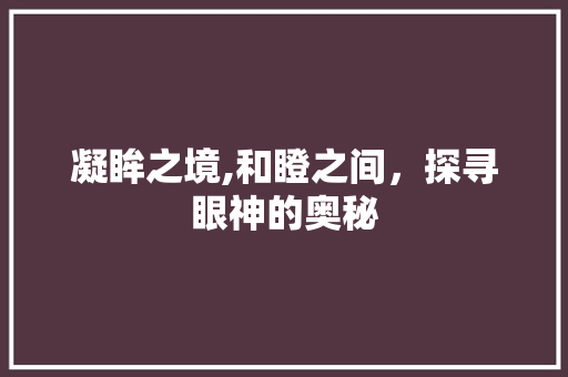 凝眸之境,和瞪之间，探寻眼神的奥秘