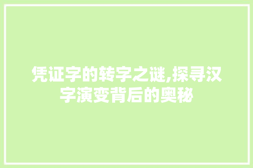 凭证字的转字之谜,探寻汉字演变背后的奥秘