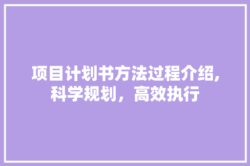 项目计划书方法过程介绍,科学规划，高效执行