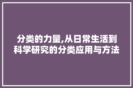 分类的力量,从日常生活到科学研究的分类应用与方法