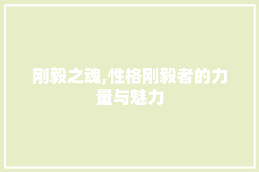刚毅之魂,性格刚毅者的力量与魅力