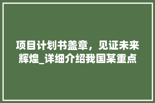 项目计划书盖章，见证未来辉煌_详细介绍我国某重点项目