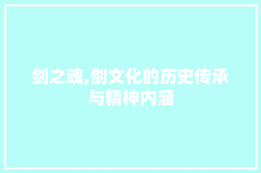 剑之魂,剑文化的历史传承与精神内涵