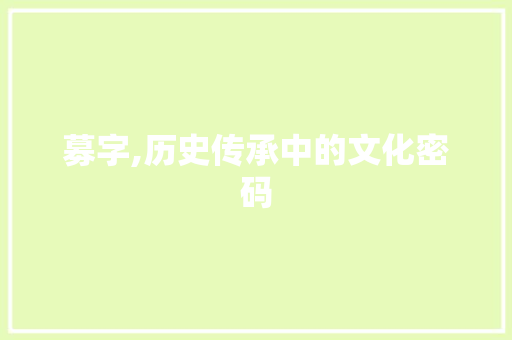 募字,历史传承中的文化密码