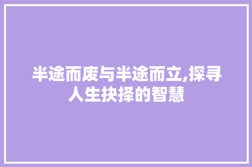 半途而废与半途而立,探寻人生抉择的智慧