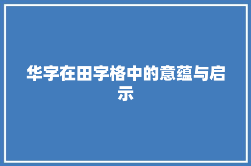 华字在田字格中的意蕴与启示