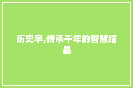 历史字,传承千年的智慧结晶