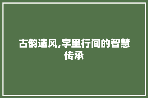 古韵遗风,字里行间的智慧传承