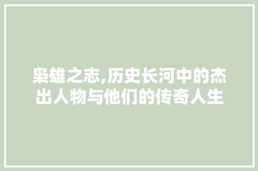 枭雄之志,历史长河中的杰出人物与他们的传奇人生 汉字拼音