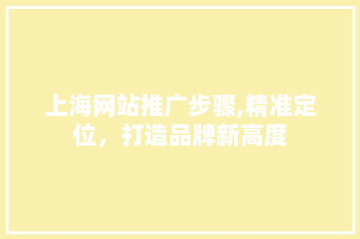 上海网站推广步骤,精准定位，打造品牌新高度