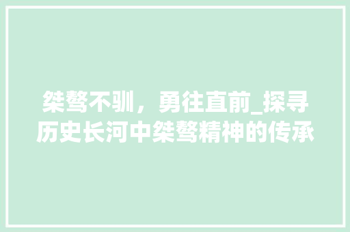 桀骜不驯，勇往直前_探寻历史长河中桀骜精神的传承 短语
