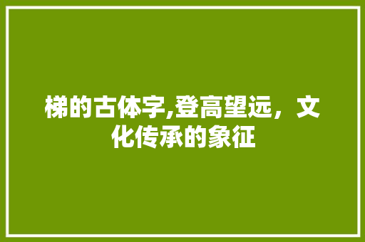 梯的古体字,登高望远，文化传承的象征