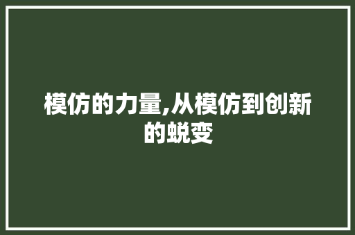 模仿的力量,从模仿到创新的蜕变