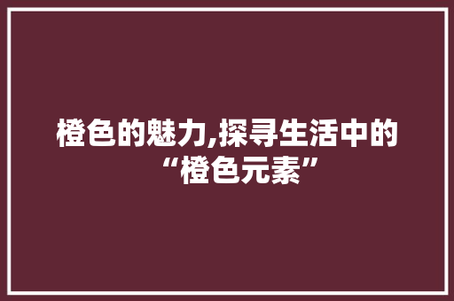橙色的魅力,探寻生活中的“橙色元素”