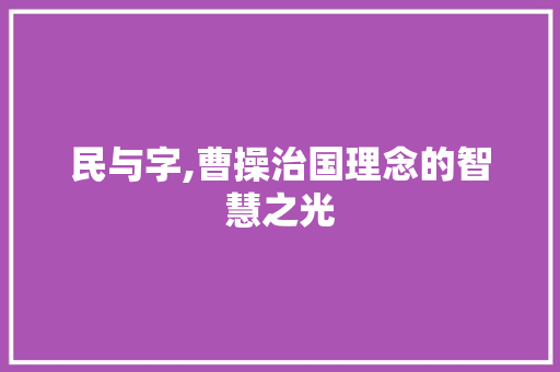 民与字,曹操治国理念的智慧之光