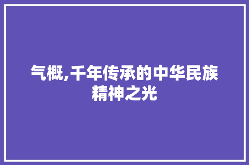 气概,千年传承的中华民族精神之光