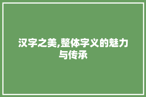 汉字之美,整体字义的魅力与传承