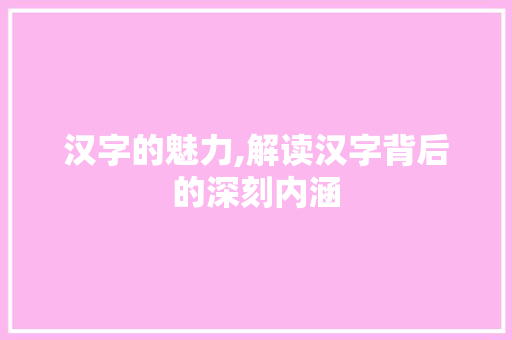 汉字的魅力,解读汉字背后的深刻内涵