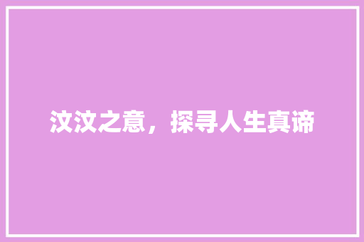 汶汶之意，探寻人生真谛 短语