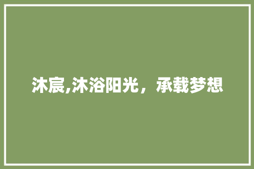 沐宸,沐浴阳光，承载梦想