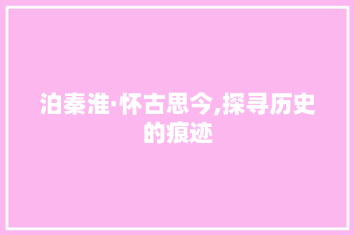 泊秦淮·怀古思今,探寻历史的痕迹