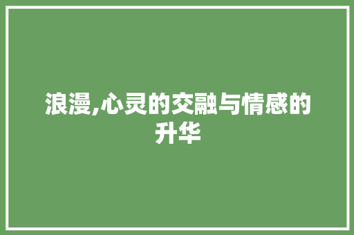浪漫,心灵的交融与情感的升华