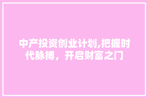 中产投资创业计划,把握时代脉搏，开启财富之门
