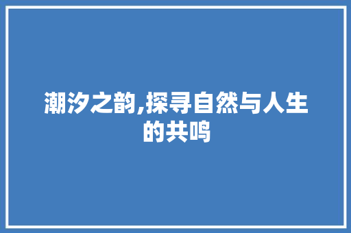 潮汐之韵,探寻自然与人生的共鸣 成语汇编